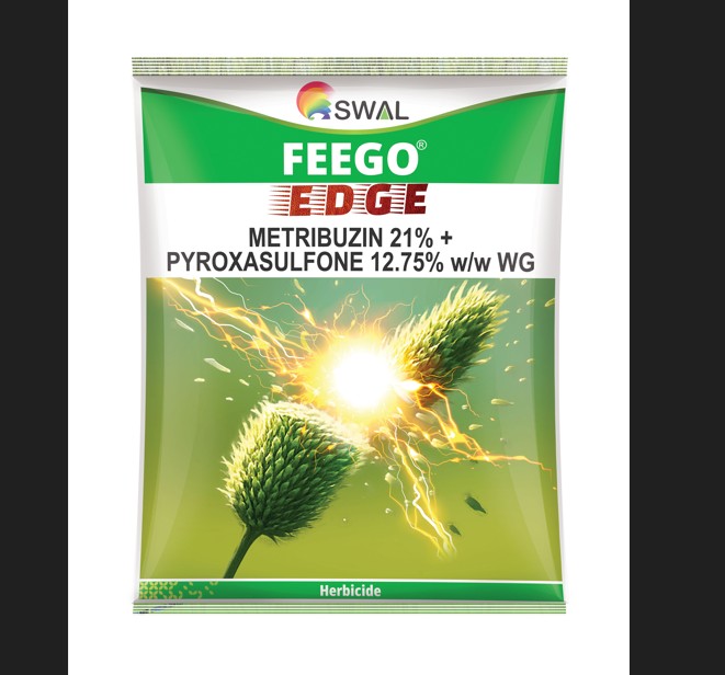 FEEGO EDGE